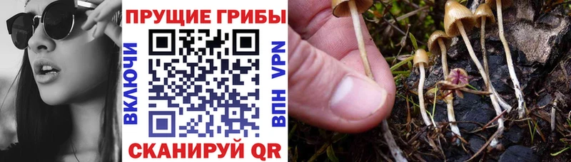 Псилоцибиновые грибы прущие грибы Челябинск