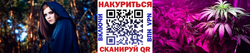 Шишки марихуана марихуана  купить  сайты  Челябинск 